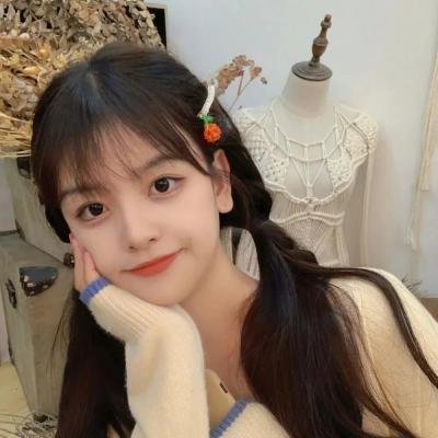 真田十勇士 真人版